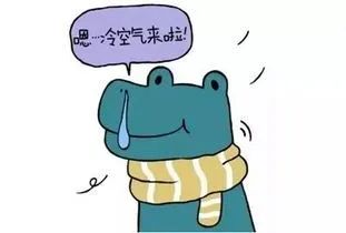 “换季式”降温!荆州冷如12月,未来几天……