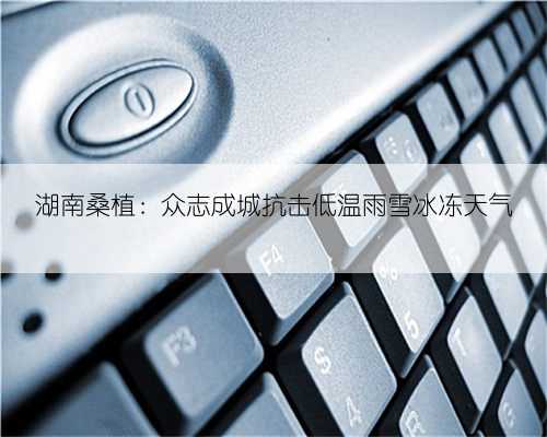 湖南桑植：众志成城抗击低温雨雪冰冻天气