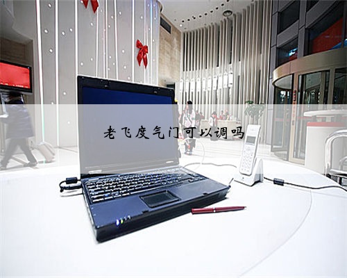 老飞度气门可以调吗