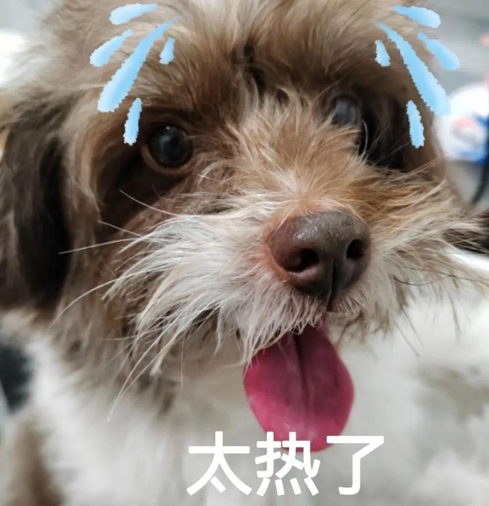 刚刚,湖北有一地竟下雪了,武穴接下来的天气...