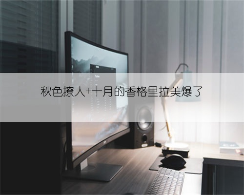 秋色撩人 十月的香格里拉美爆了