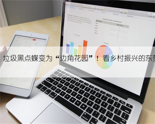 视频|垃圾黑点蝶变为“边角花园”!看乡村振兴的东莞样板