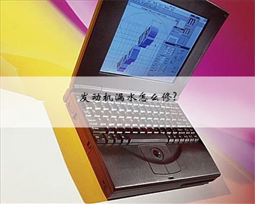 发动机漏水怎么修?