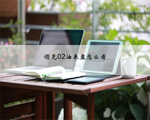 领克02油表盘怎么看