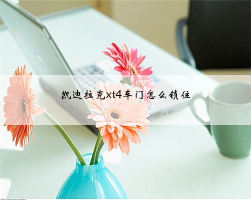 凯迪拉克xt4车门怎么锁住