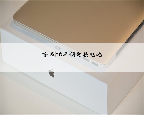 哈弗h6车钥匙换电池