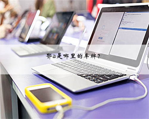 鄂a是哪里的车牌?
