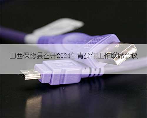 山西保德县召开2024年青少年工作联席会议