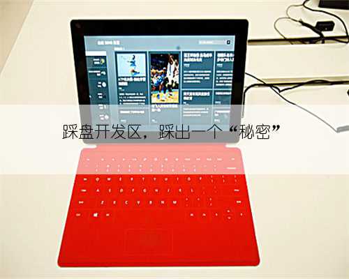 踩盘开发区，踩出一个“秘密”
