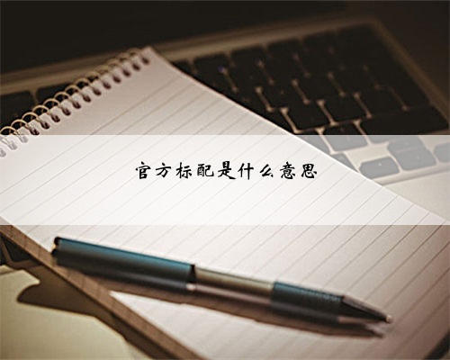 官方标配是什么意思