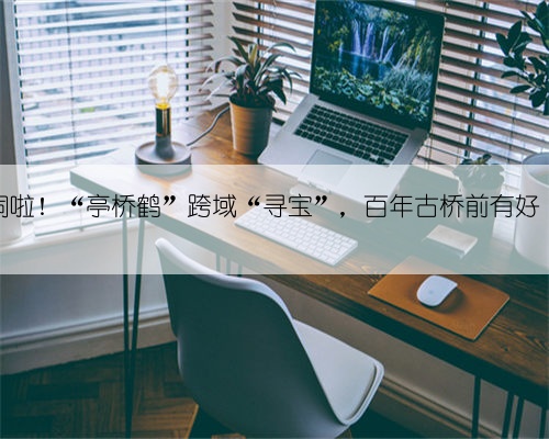 太热闹啦!“亭桥鹤”跨域“寻宝”,百年古桥前有好“市”