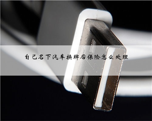 自己名下汽车换牌后保险怎么处理
