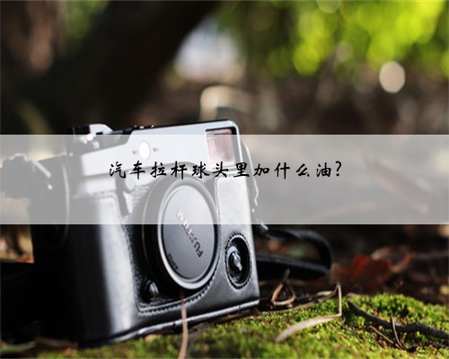 汽车拉杆球头里加什么油?