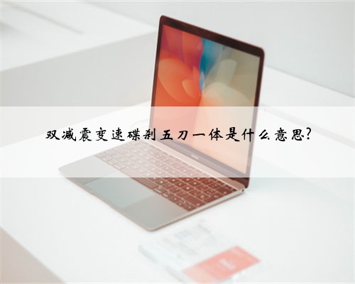 双减震变速碟刹五刀一体是什么意思?