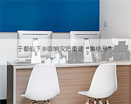 于都仙下乡吹响灾后重建“集结号”