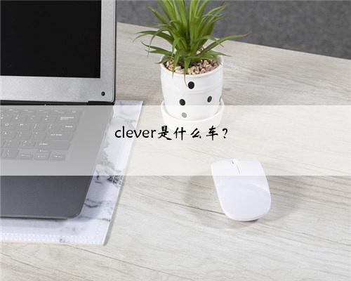 clever是什么车？