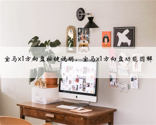 宝马x1方向盘按键说明，宝马x1方向盘功能图解