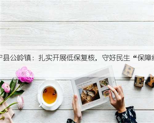 怀宁县公岭镇：扎实开展低保复核，守好民生“保障线”