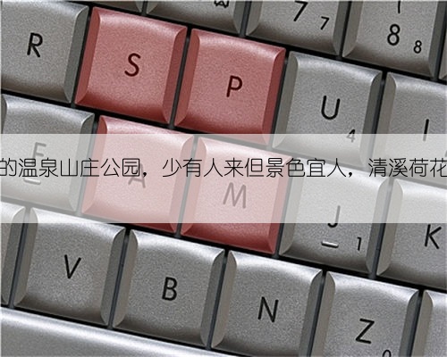 浙江宁波的温泉山庄公园,少有人来但景色宜人,清溪荷花极有诗意