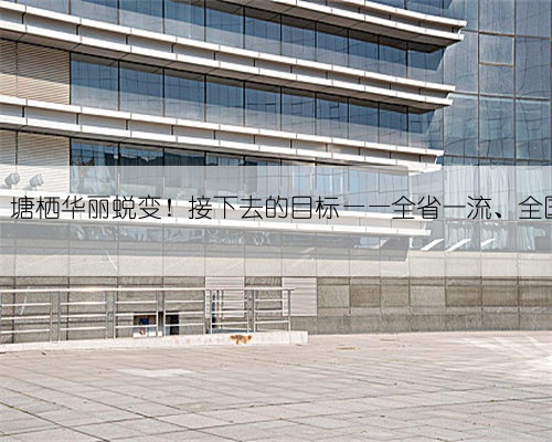三年,塘栖华丽蜕变!接下去的目标——全省一流、全国有名