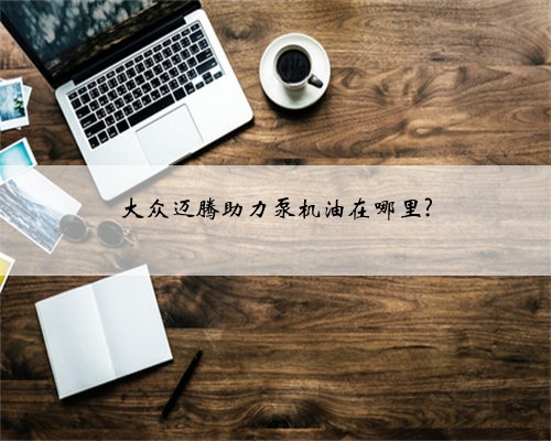大众迈腾助力泵机油在哪里?