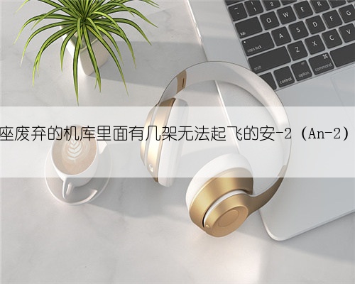 找到一座废弃的机库里面有几架无法起飞的安-2（An-2）型飞机