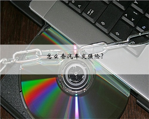 怎么查汽车交强险?