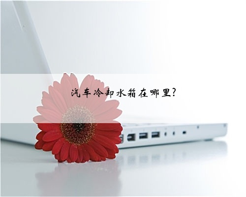 汽车冷却水箱在哪里?