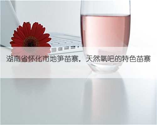 湖南省怀化市地笋苗寨,天然氧吧的特色苗寨