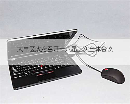 大丰区政府召开十六届三次全体会议