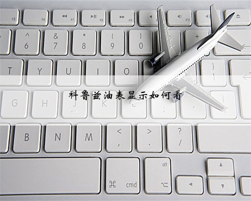 科鲁兹油表显示如何看