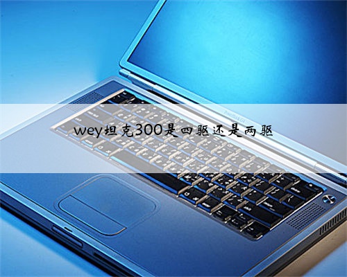 wey坦克300是四驱还是两驱