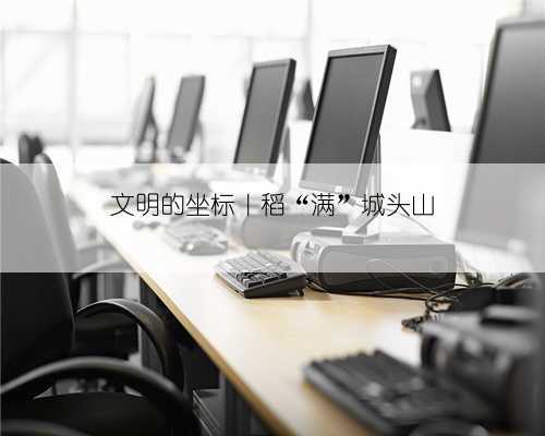 文明的坐标|稻“满”城头山