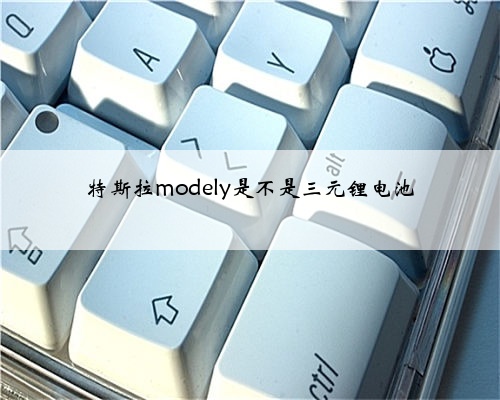 特斯拉modely是不是三元锂电池