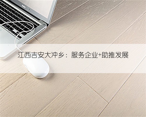 江西吉安大冲乡：服务企业 助推发展