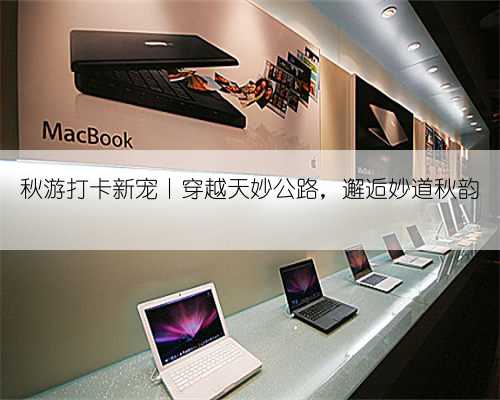 秋游打卡新宠丨穿越天妙公路，邂逅妙道秋韵