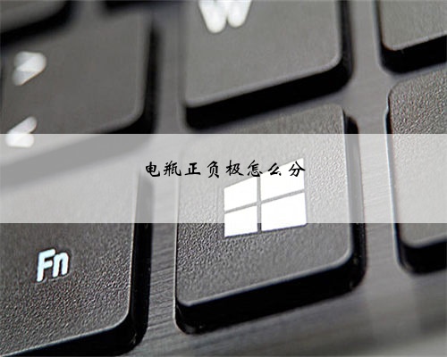 电瓶正负极怎么分