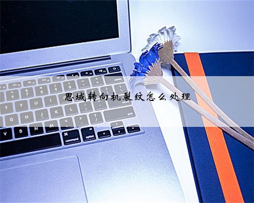 思域转向机裂纹怎么处理