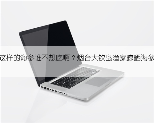 这样的海参谁不想吃啊？烟台大钦岛渔家晾晒海参