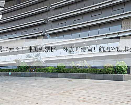 一张机票16元?!韩国机票比一杯咖啡便宜!航班密度堪比公交车