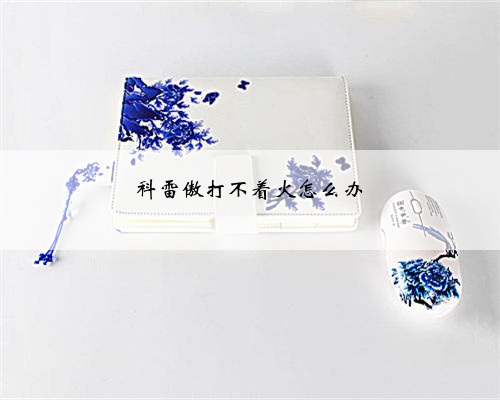 科雷傲打不着火怎么办