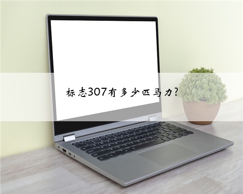 标志307有多少匹马力?