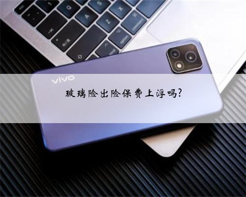 玻璃险出险保费上浮吗?