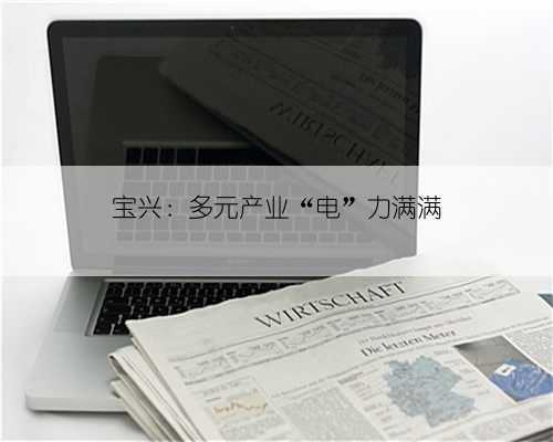 宝兴:多元产业“电”力满满