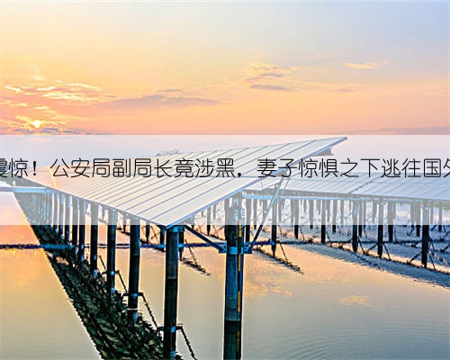 震惊!公安局副局长竟涉黑,妻子惊惧之下逃往国外