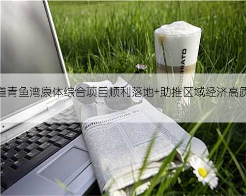 海口街道青鱼湾康体综合项目顺利落地 助推区域经济高质量发展