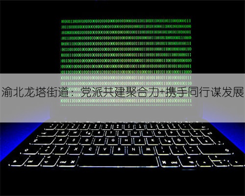 渝北龙塔街道：党派共建聚合力 携手同行谋发展