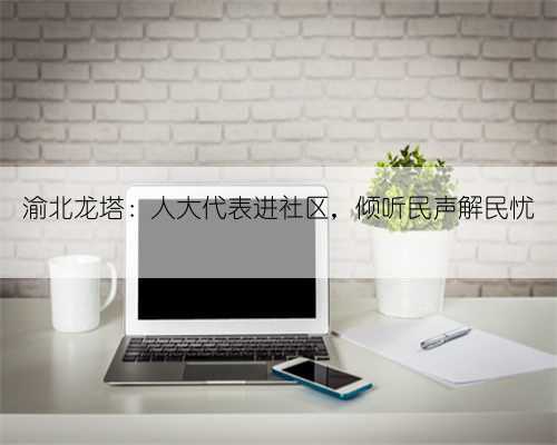 渝北龙塔：人大代表进社区，倾听民声解民忧
