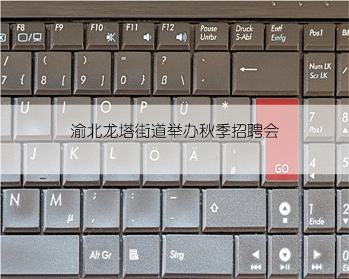 渝北龙塔街道举办秋季招聘会