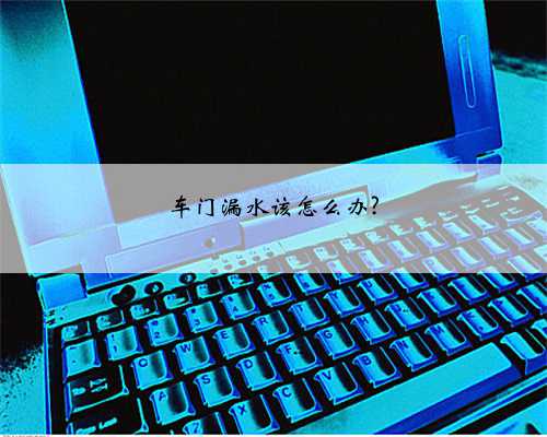 车门漏水该怎么办?
